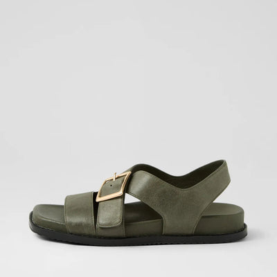 D & J Reve Olive