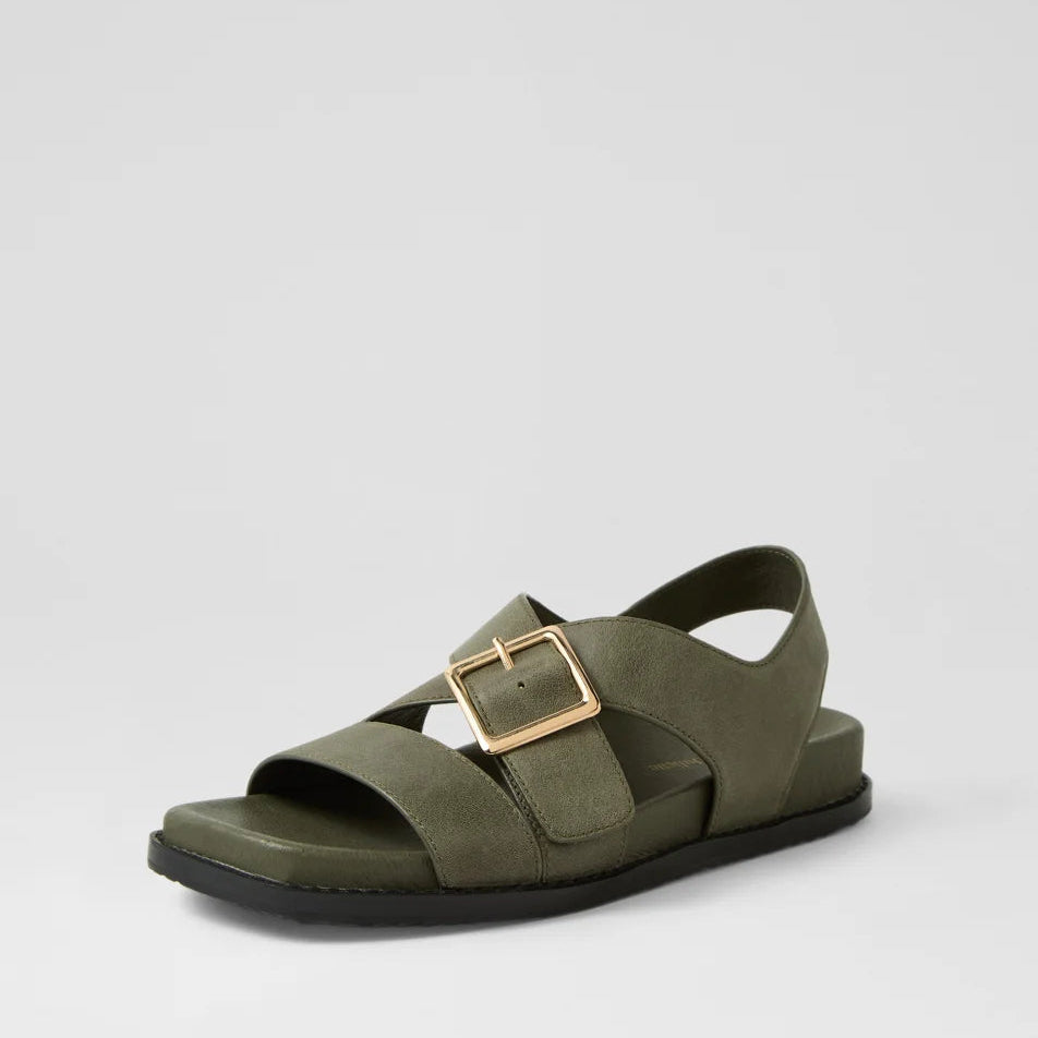 D & J Reve Olive