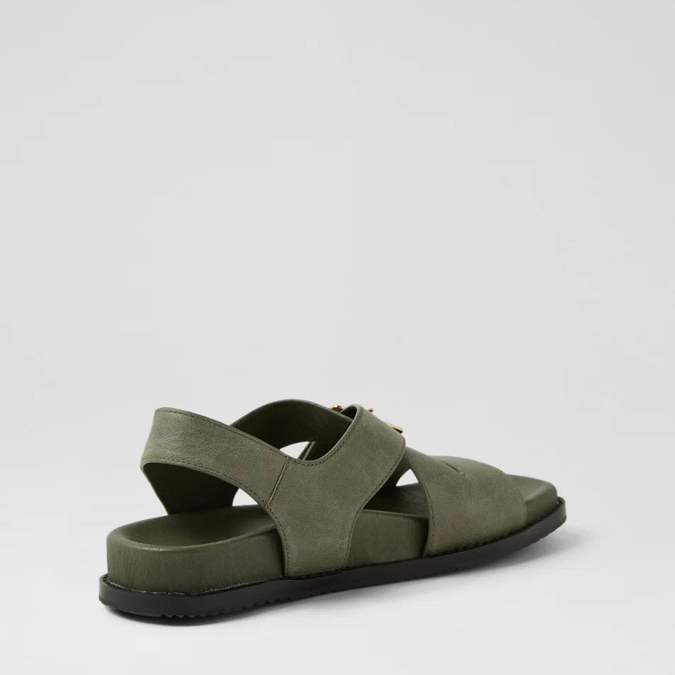 D & J Reve Olive