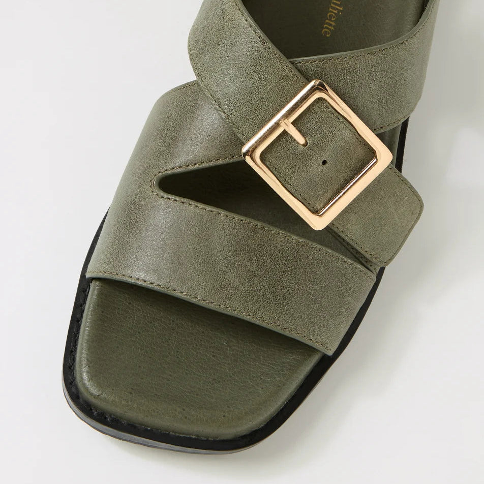 D & J Reve Olive